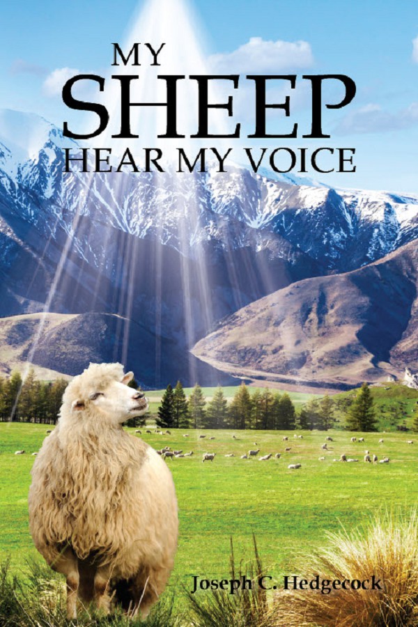 My Sheep Hear My Voice 2020